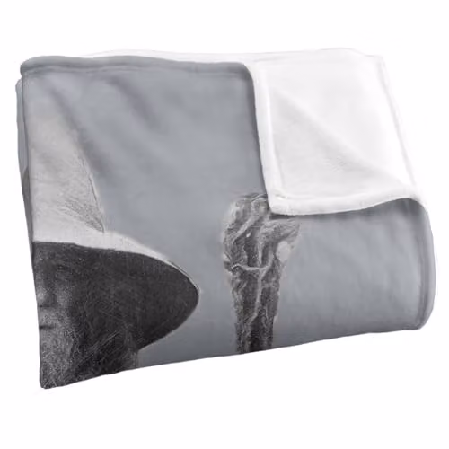 Warner Bros. Lord of the Rings Gandalf the Grey Super Soft Fleece Throw Blanket, Grey and Multicolour, W: 127.0 cm, D: 152.4 cm – 2
