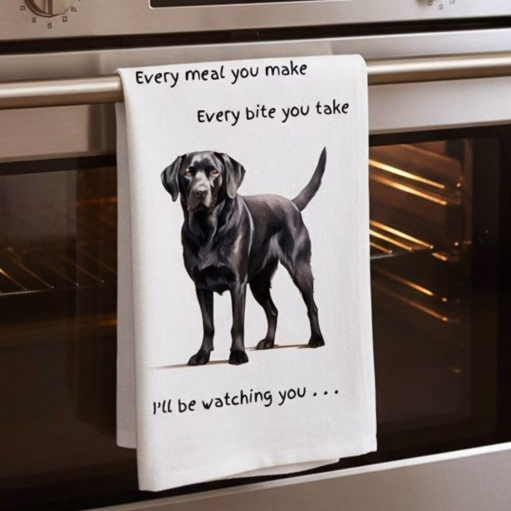 Animal Crackers Black Labrador Funny Watching You Cotton Tea Towel, White and Grey, 66 cm – 2