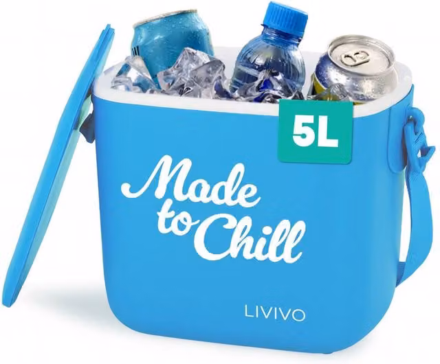 LIVIVO Lightweight Portable 5 l Foam Insulated Cool Box with Carrying Strap, Blue – 1