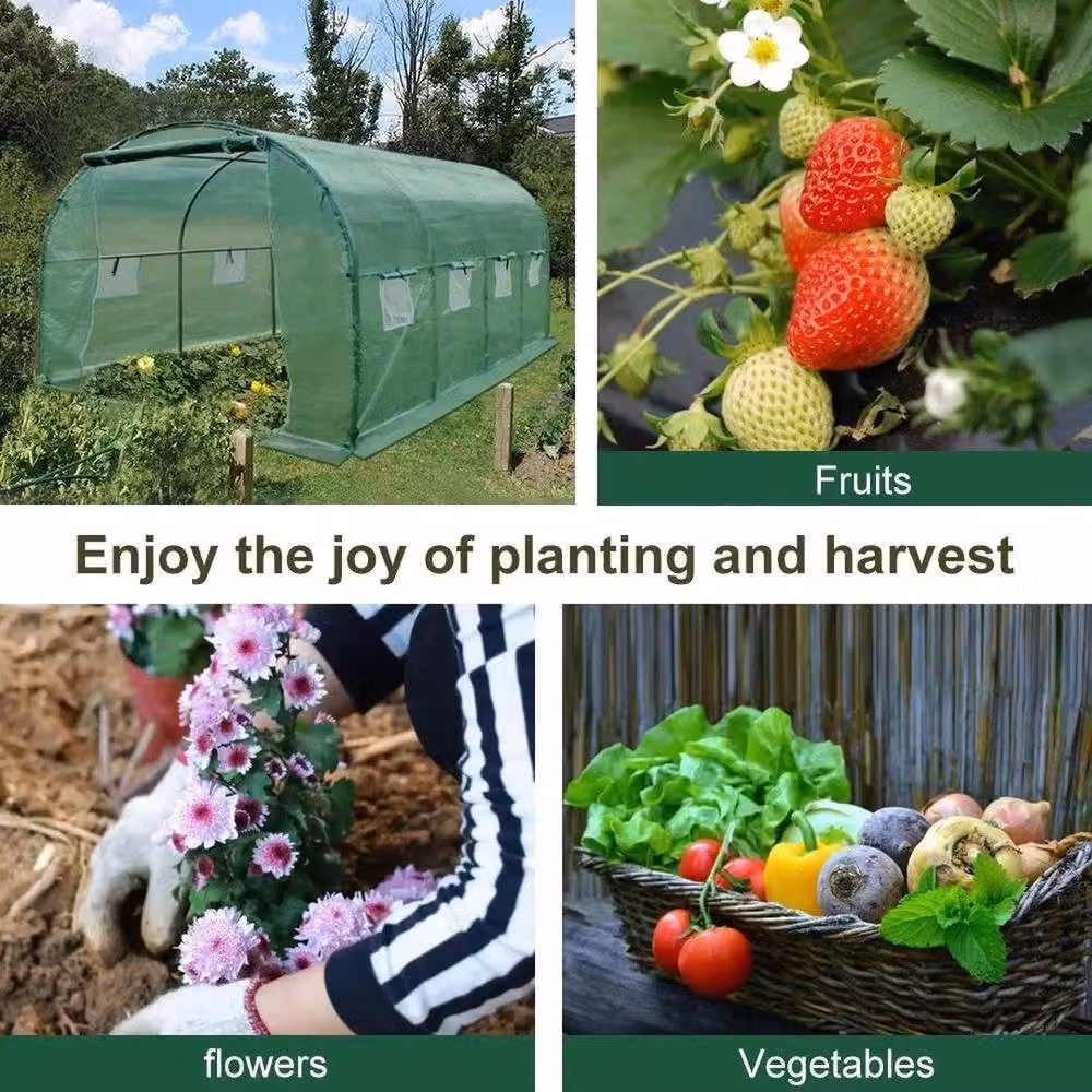 FLAVORA Reinforced Walk In Polytunnel Outdoor Garden Greenhouse, Green, W/D/H: 6 x 3 x 2 m – 2