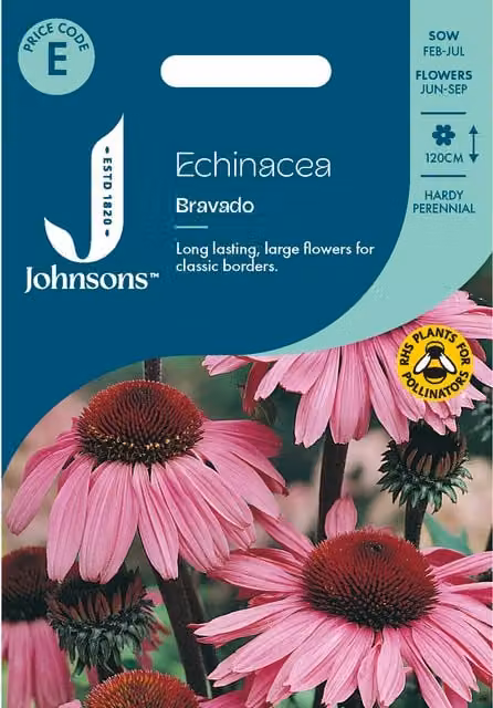 Johnsons Seeds Echinacea Bravado Pink Ornamental Flower Seeds