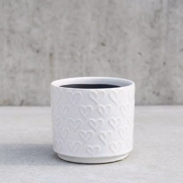 Garden Greatness White Heart Ceramic Tabletop Display Planter