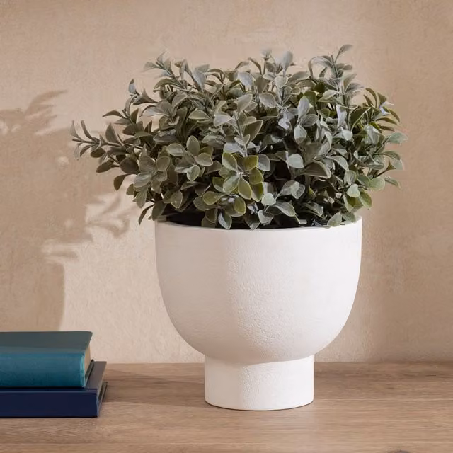 Scottish Everlastings Ltd Green and White Potted Foliage in a Ceramic Footed Pot, Height: 37 cm – 1