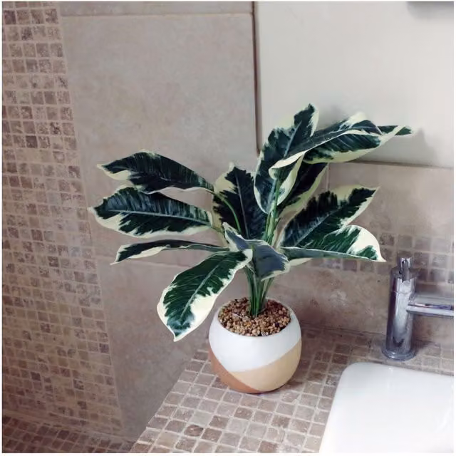 Dyzi 40 cm Variegated Artificial Pothos Plant in a Round Hand-Painted Concrete Planter, Green