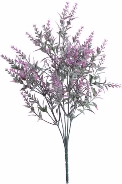 KDMD Pink and Purple Lavender Bush, 4 Pack, Height: 33 cm