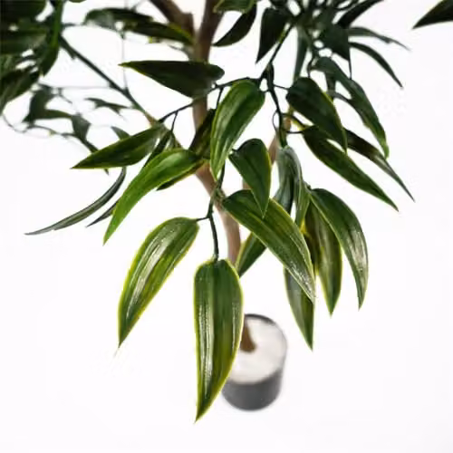 LeafUK UV Resistant Artificial Japanese Ficus Tree in Green, Height: 120 cm – 2