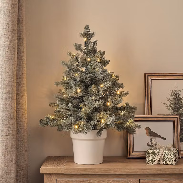 60cm Pre Lit Potted Douglas Fir Christmas Tree in Green with Warm White Lights