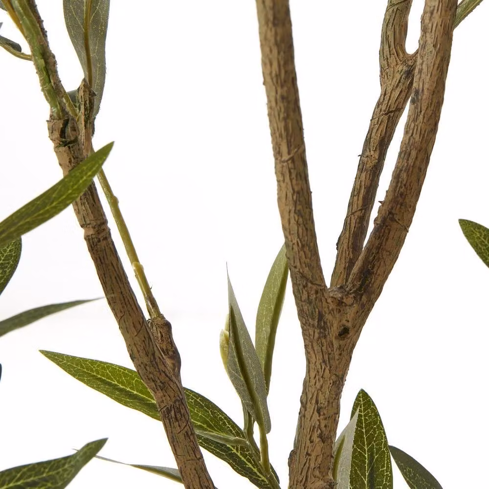 Lemon Pavilion Apulia Mediterranean Olive Tree in Pot, Height: 210 cm, Green/Brown/White – 3