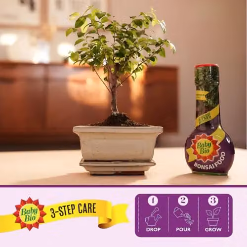 Baby Bio Bonsai Food Liquid Concentrate Fertiliser, 175 ml – 4