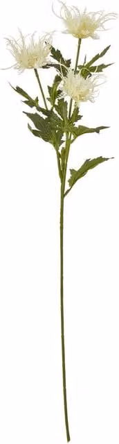 Hill Interiors Sea Holly Artificial Flower Spray in Beige and White