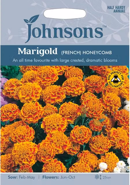 Johnsons Marigold French Honeycomb Flower Seeds in Red and Orange