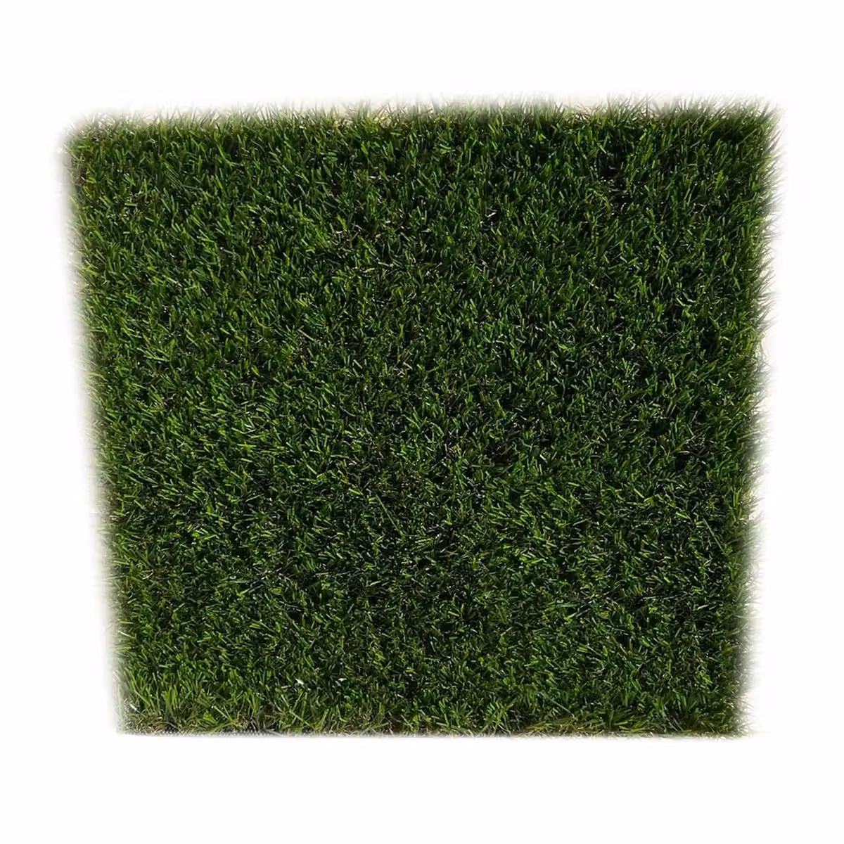Artificial Grass GB Monte Rei 25mm Artificial Grass in Green, W: 400 cm, D: 700 cm – 2