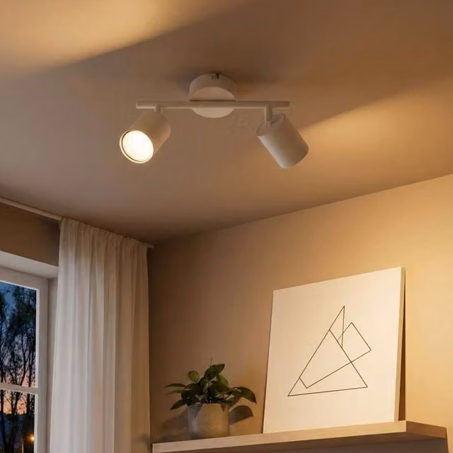 Wyld and Coco 2-Light Adjustable Spotlight Ceiling Lamp in White Metal – 1