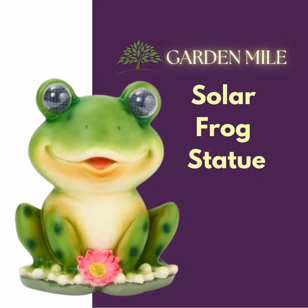 Marco Paul Solar Blinkin Frog Garden Ornament in Green – 4