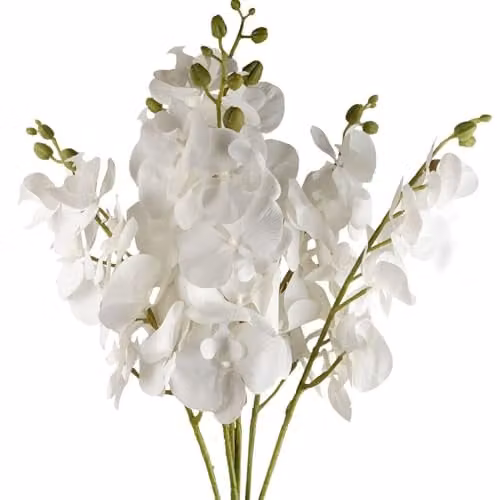 Leaf Pack of 6 White Artificial Phalaenopsis Orchid Stems, Height: 100 cm