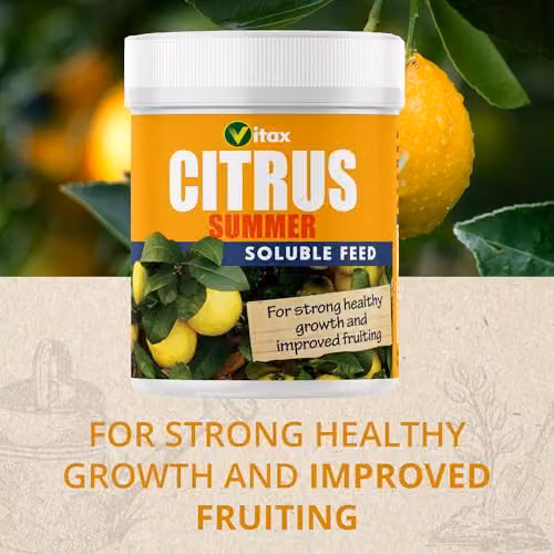Vitax Citrus Summer Plant Tonic, 200g – 3
