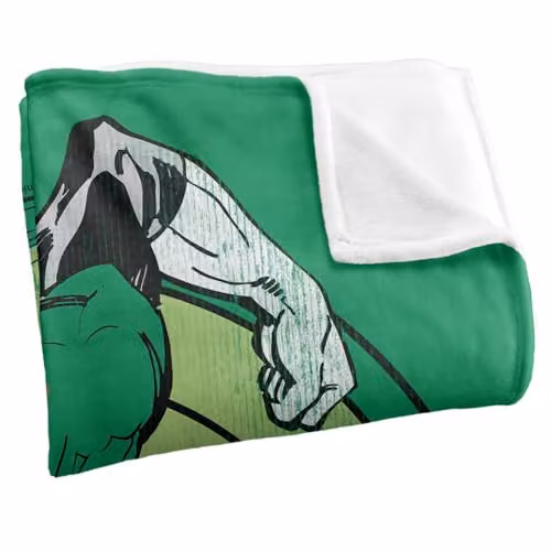Warner Bros. Green Lantern Power Stance Super Soft Fleece Throw Blanket, Green and Multicolour, W: 127.0 cm x D: 152.4 cm – 2