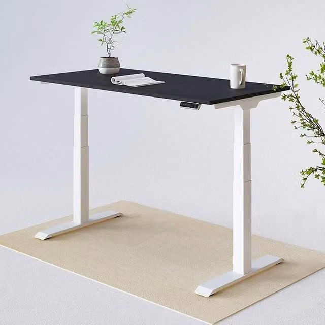 FlexiSpot E7 Electric Height Adjustable Standing Desk with Dual-Motor Lifting System, White Rectangular Desk for Home Office