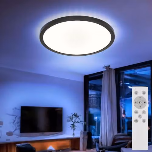 Netlighting Globo Lighting Round LED Ceiling Light, Dimmable RGBW with Remote Control and Timer, Black or White, D: 29.4 cm – 2
