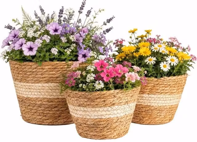 Havendro Seagrass Planter Basket for Indoor or Outdoor Use, Brown – 1