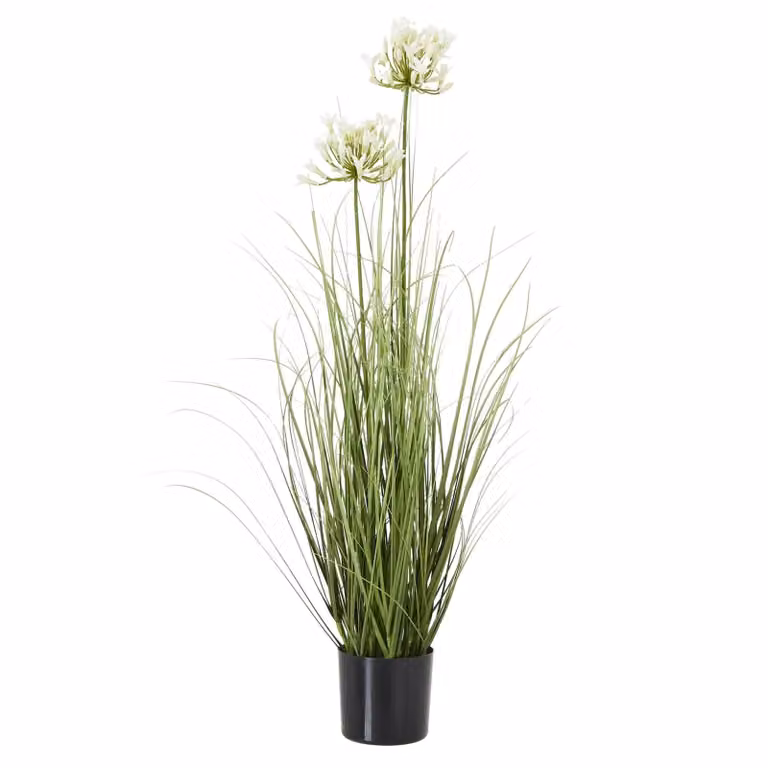 Hill Interiors Agapanthus Plastic Plant Pot in White