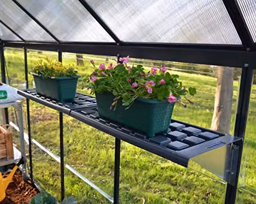 Palram Canopia Twin Shelf Kit in Green Aluminium for Greenhouses – 3