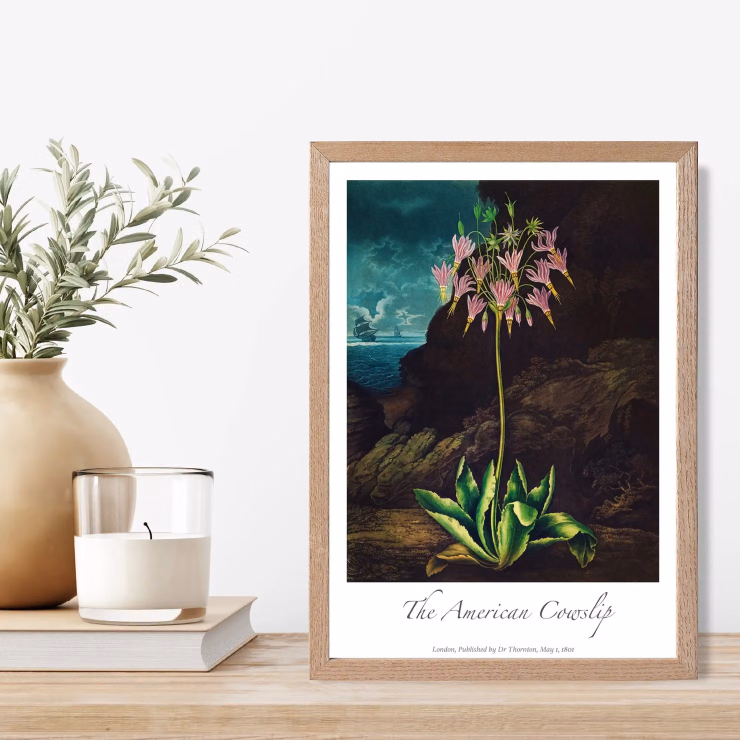 ARTZE Cowslip Plant Vintage Floral Botanical Illustration Framed Print in Pink and Green with Oak Wood Frame, Size: A3 – 2