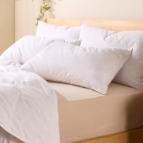Snuggledown 2 Pack White Duck Feather and Down Pillows with Medium Support and Cotton Cover, W: 48 cm, D: 74 cm – 2