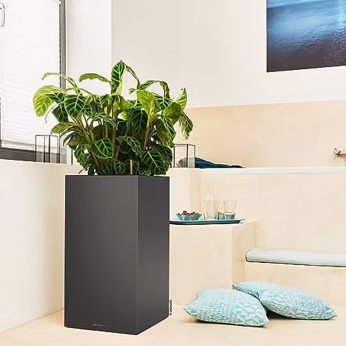 Lechuza Canto Premium 40 Planter Tub in Anthracite Metallic, W/D/H: 40 x 40 x 76 cm – 4