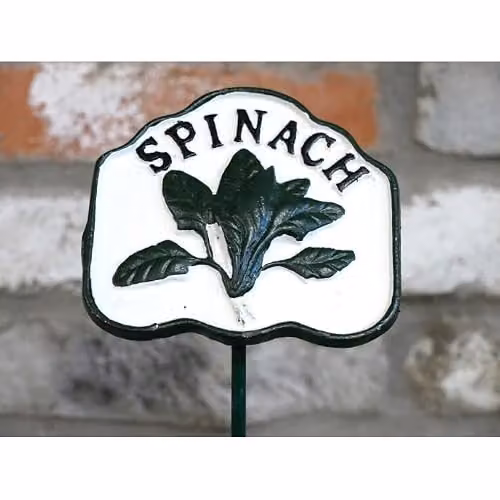 Belvina Metal Spinach Vegetable Marker Green and White Garden Sign