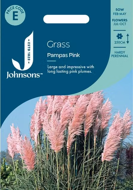 Johnsons Pink Pampas Grass Ornamental Flower Seeds