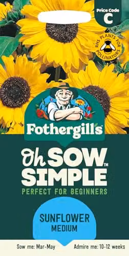 Mr Fothergill's Oh Sow Simple Sunflower Medium Flower Seeds, Yellow – 1