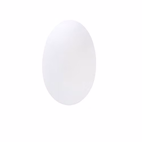 Netlighting FORLIGHT Glass Flush Wall Fixture, White, E27, 60W, 23.5 cm