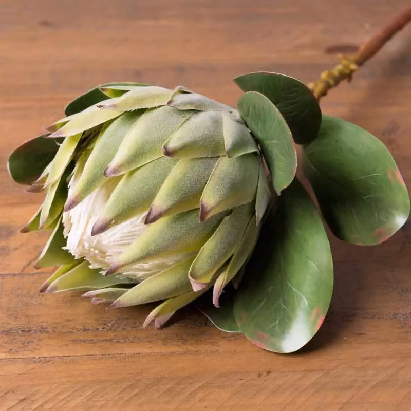 Love Lace Large Green Protea Artificial Flower – 2