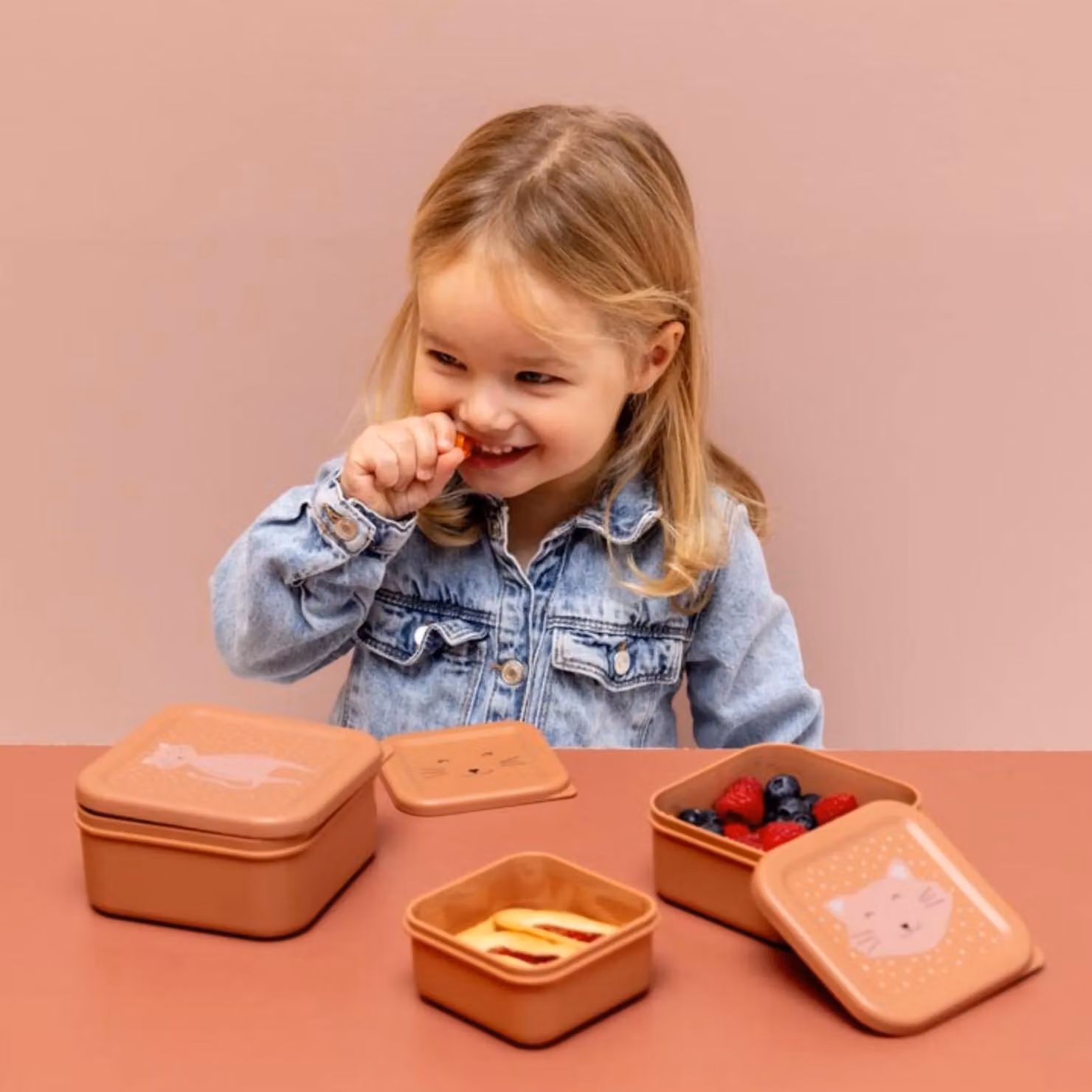 Trixie Mrs. Cat Nesting Snackboxes, Pink, Stackable and Dishwasher Safe Plastic Snackboxes – 3