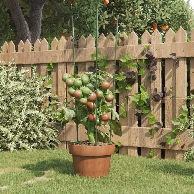 Berkfield Home Garden Steel Plant Supports with 3 Rings, Green, 5 Pieces, Height: 60 cm
