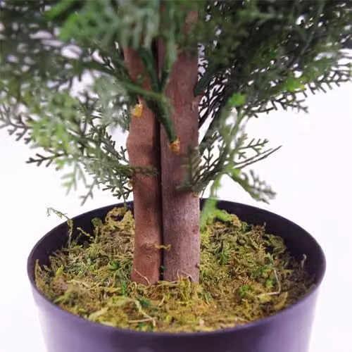 Leaf Artificial Green Cedar Cypress Conifer Tree H 120 cm x W 55 cm x D 55 cm – 3
