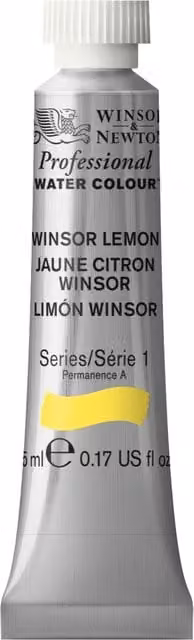 Winsor and Newton Professional Watercolour Paint, Windsor Yellow, 5ml