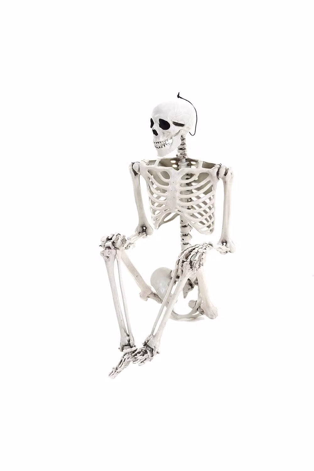 H&O Direct Spooky Halloween Skeleton with Poseable Limbs in White, Height: 160 cm – 3