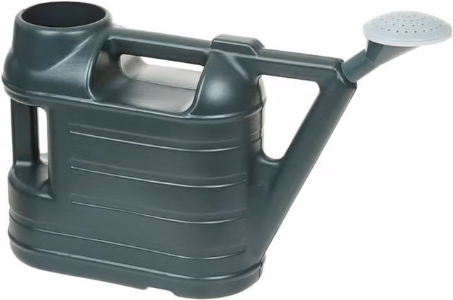 Ward 6.5L Plastic Watering Can with Rose in Green