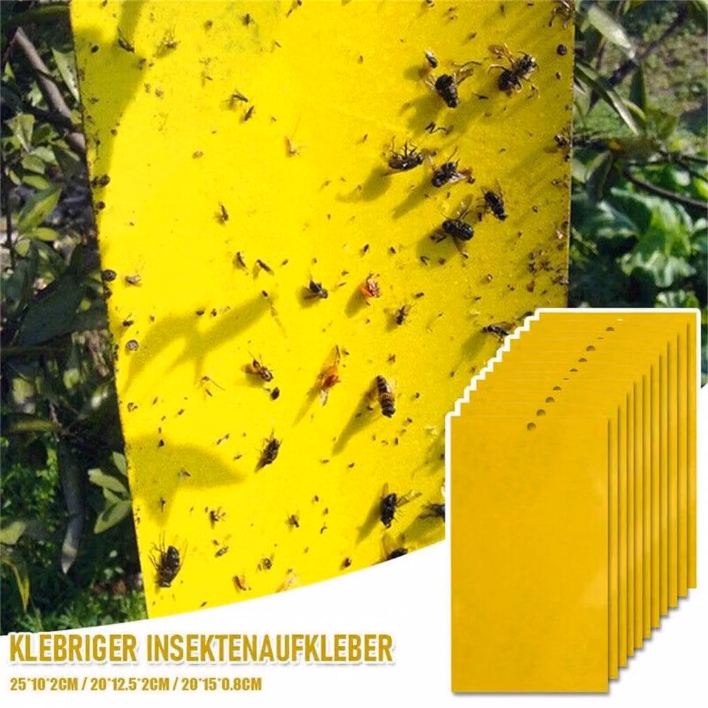 KORVIXA 20 Piece Professional Strong Sticky Fly Trap in Yellow – 3