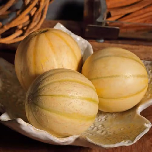 Thompson & Morgan Melon France Miniature Seeds, Sweet Orange Flesh, 4 Seeds per Packet – 2
