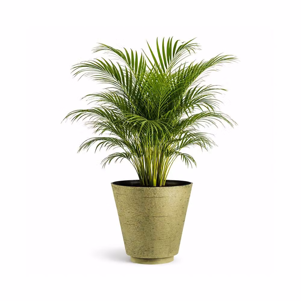Simpa Hudson Textured Effect Plastic Planter Tub Set of 2 in Green – 2