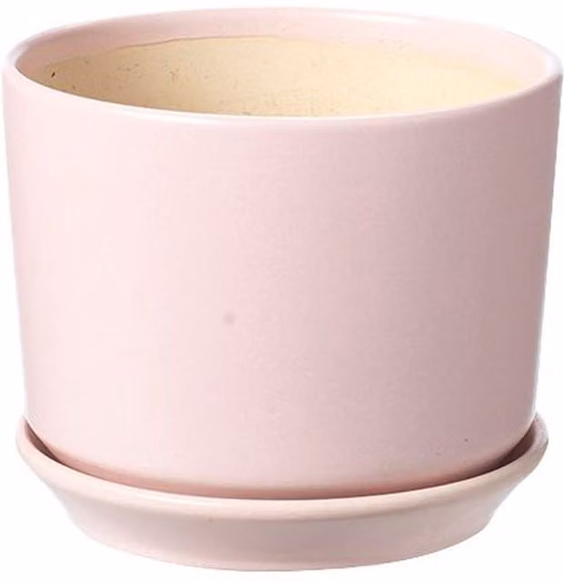 Kingsbury Gifts Pink Ceramic Indoor Tabletop Pot with Built-in Saucer, Diameter: 17.5 cm