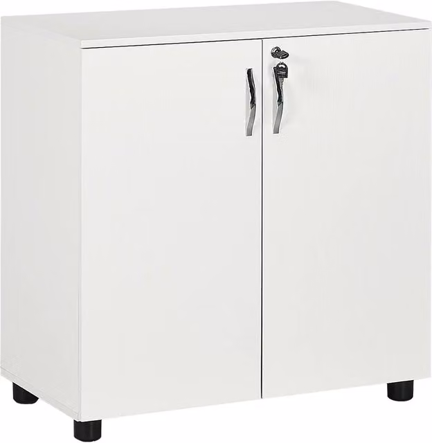 Rolipo Modern White 2-Tier Lockable Office Storage Cabinet with Adjustable Shelves