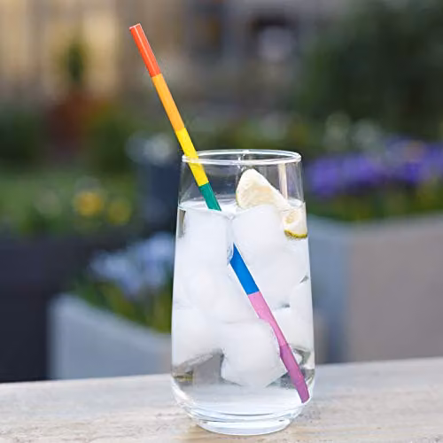 Echo Three Multicolour Metal Straws Set of 2 with Cleaning Brush – 3
