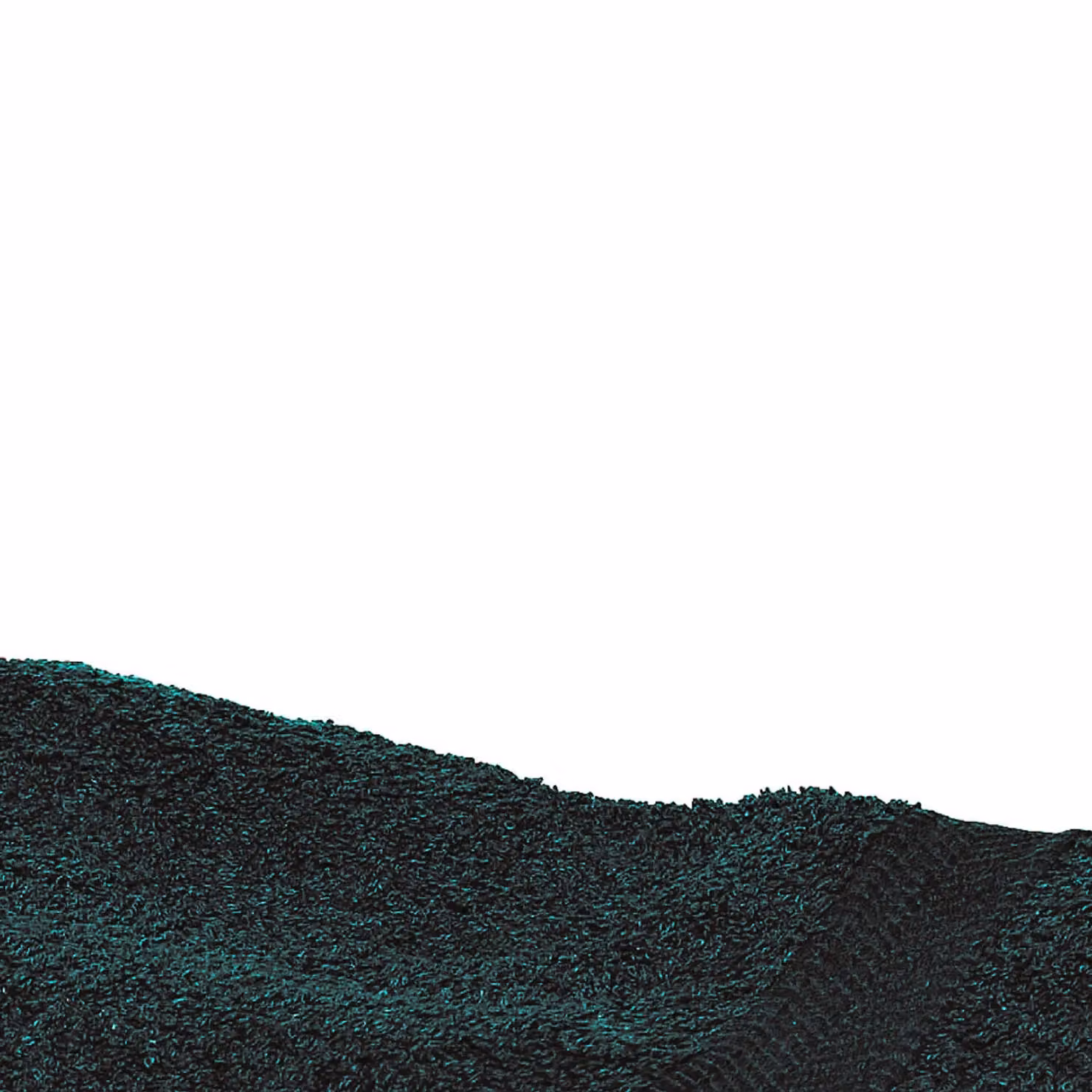 Towel City Luxury Range 550 GSM Cotton Terry Bath Sheet in Black, W: 100 cm, L: 150 cm – 2