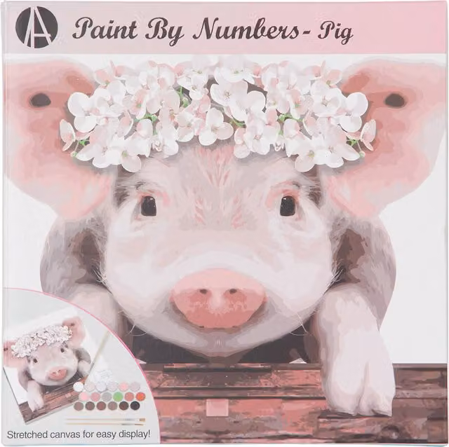 Art Studio Pig Paint by Numbers Kit for Adults, Multicolour