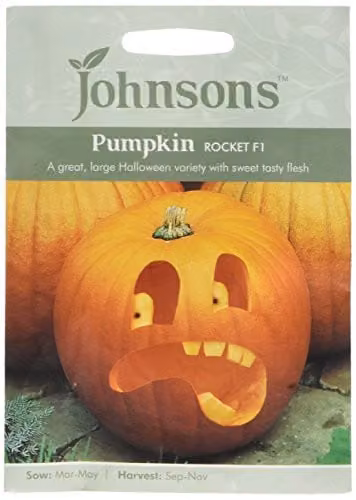Johnsons Seeds Pumpkin Rocket F1 Vegetable Seeds