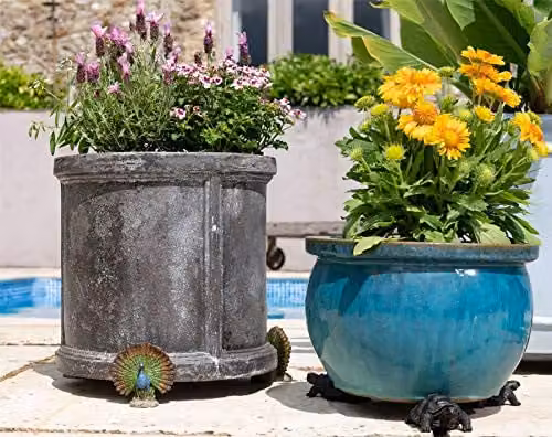 Potty Feet Peacock Figure Ceramic Plant Pot Feet, Multicolour, 3 Pieces – 4